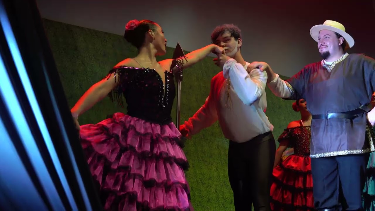 APRESENTAÇÃO DON QUIXOTE 2025