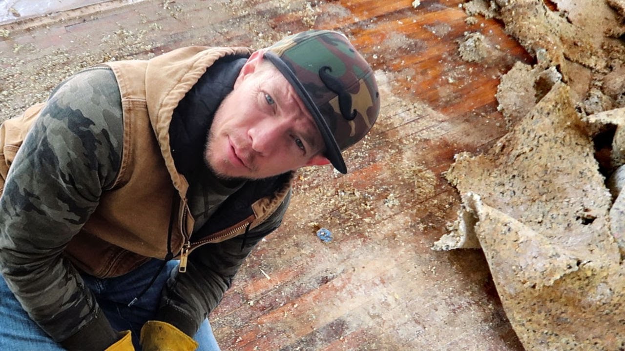 Ripping Out the NASTIEST PET Carpet