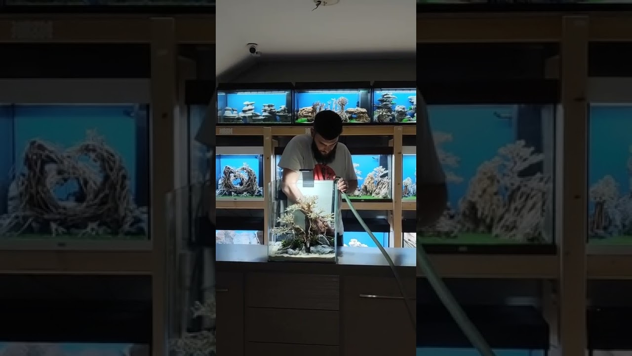 Aquarium tutorial (step by step) Cube 60 liters