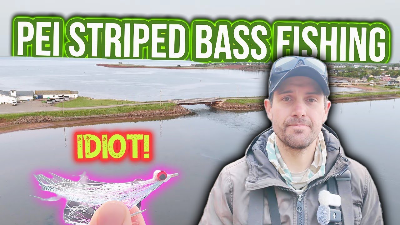 Fly Fishing Estuaries for Striped Bass! I Should Have Known Better! (Prince Edward Island, Canada)