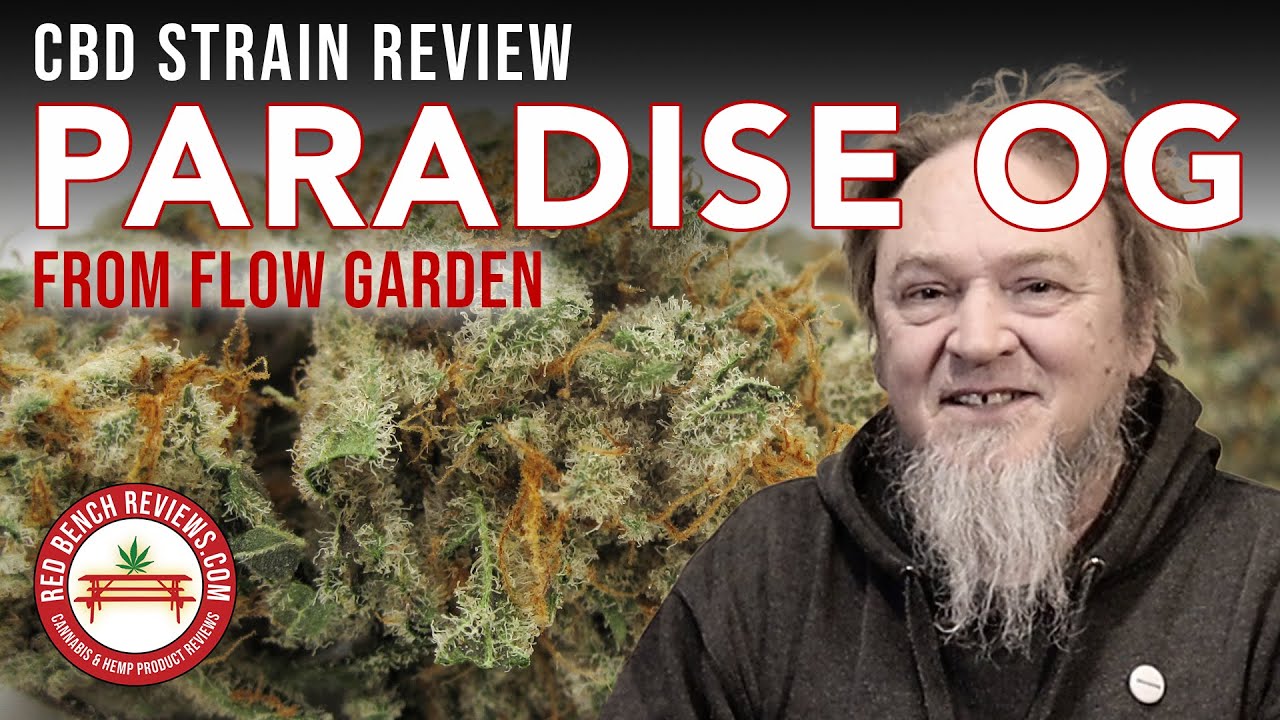 Paradise OG &mdash; Обзор сорта КБД &mdash; Flow Gardens