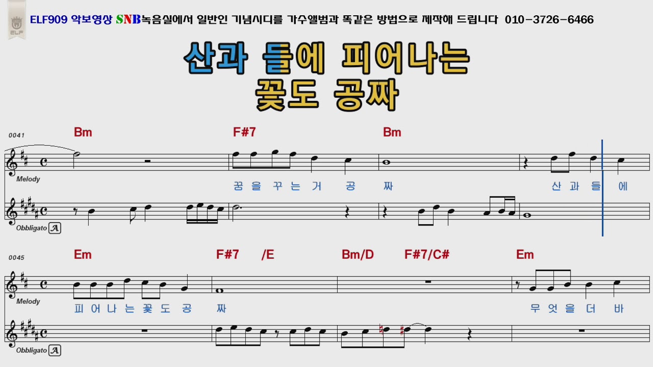 강진 공짜
