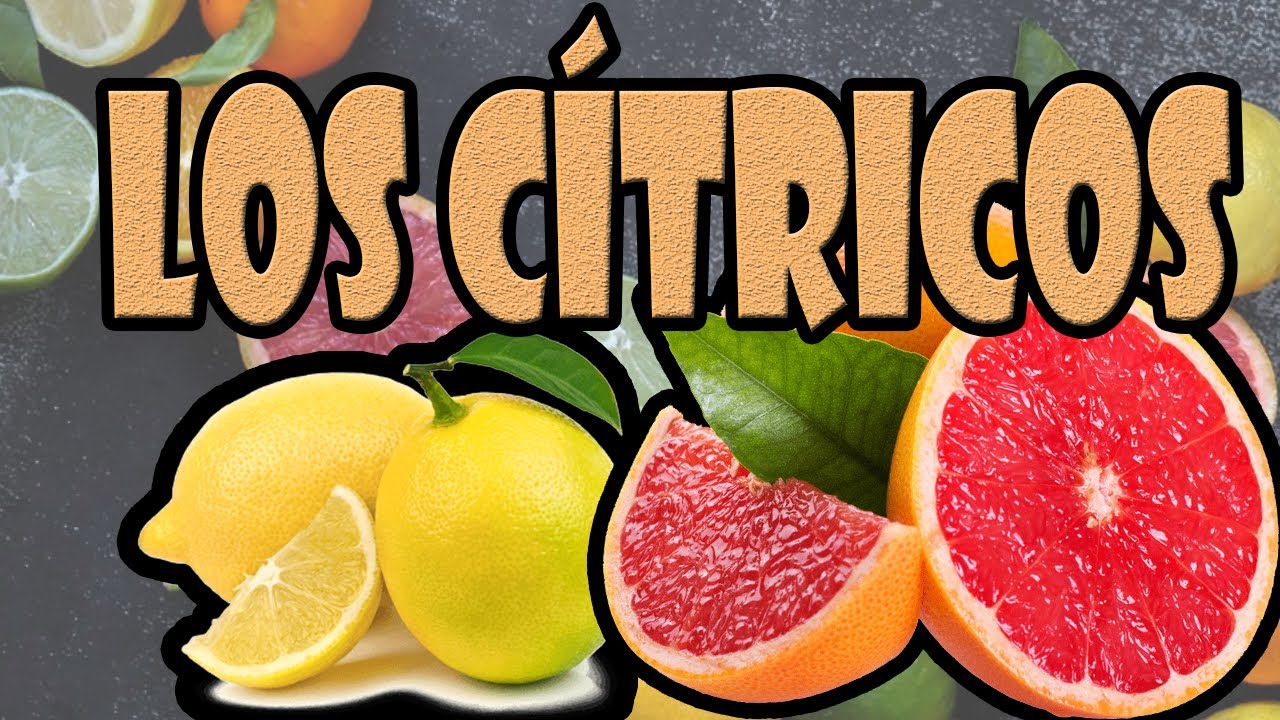 LOS CITRICOS - hesperidios