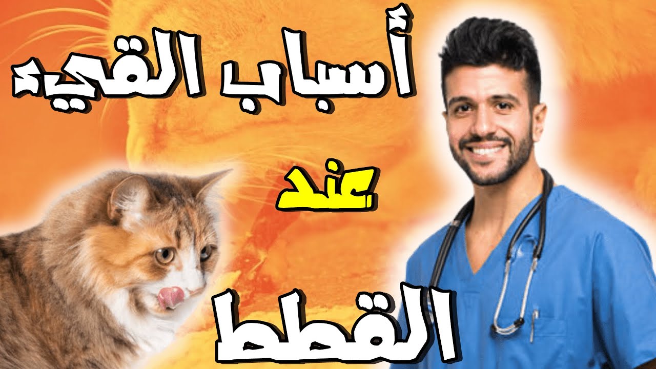 قطتي تتقيأ ولا تأكل_ما هى اسباب القئ عند القطط؟علاج القيء عند القطط_vomiting in cats