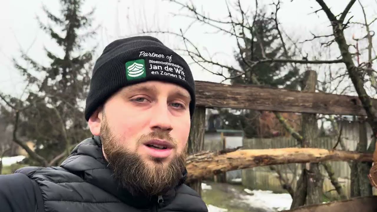 Нова котельна під дві теплиці 🏡 Огляд 👀 Теплиця Черкаси🏠 Вигонка тюльпанів🌷