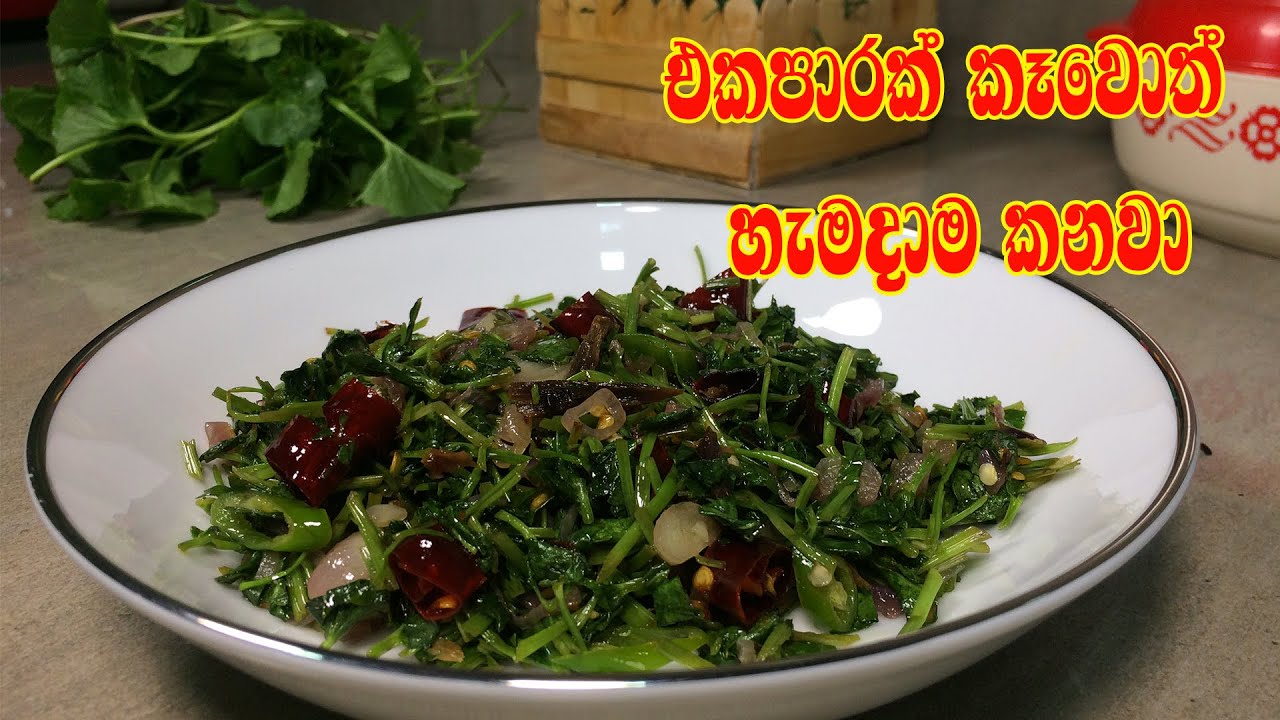 ගොටුකොල තෙම්පරාදුව | Gotu kola recipe | pennywort recipe | centella asiatica recipe