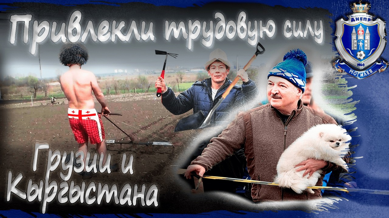 Великое переселение народов. Грузины и кыргызы выбрали Могилев. Football Manager 26. 18 серия