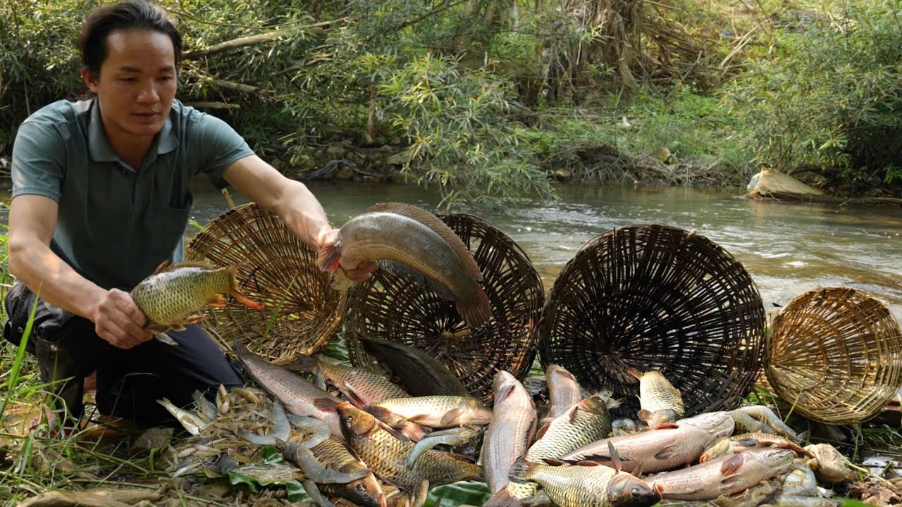 Setting a Fish Trap in the Wilderness – The Results Were Incredible , Vàng Hoa