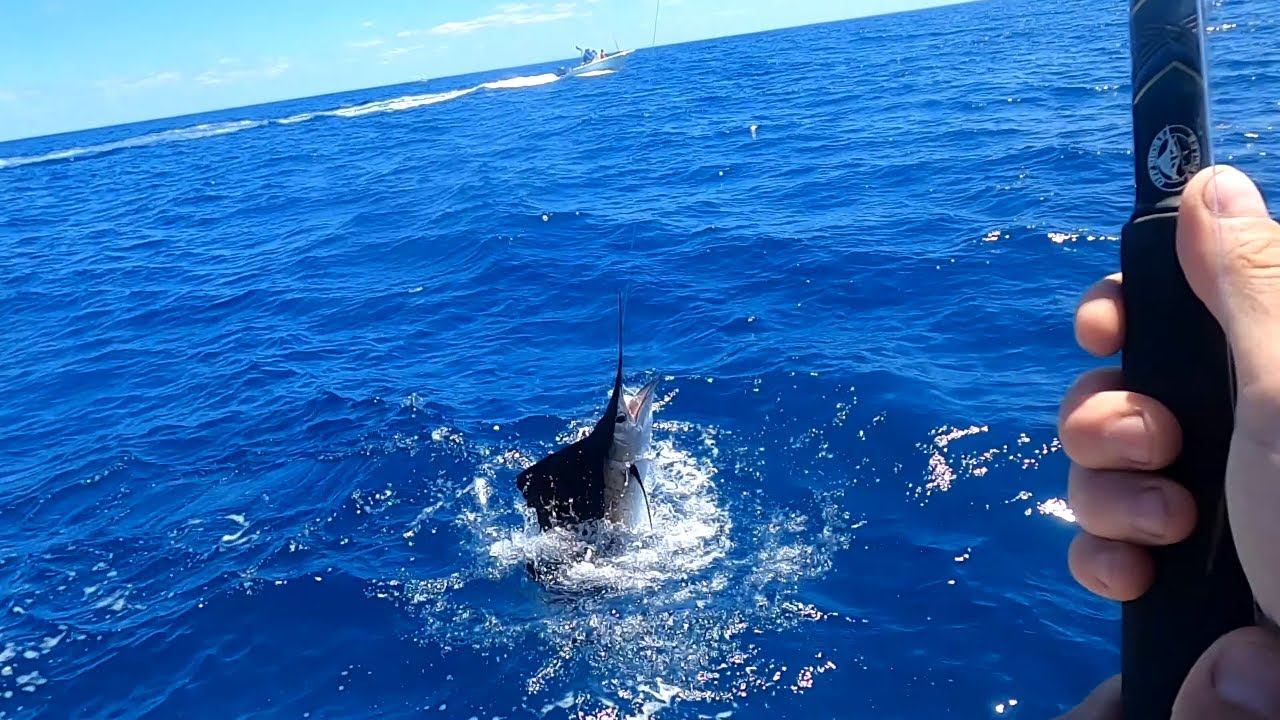 Reef Fishing the Treasure Coast | Mutton Snapper dinner and a Sailfish show