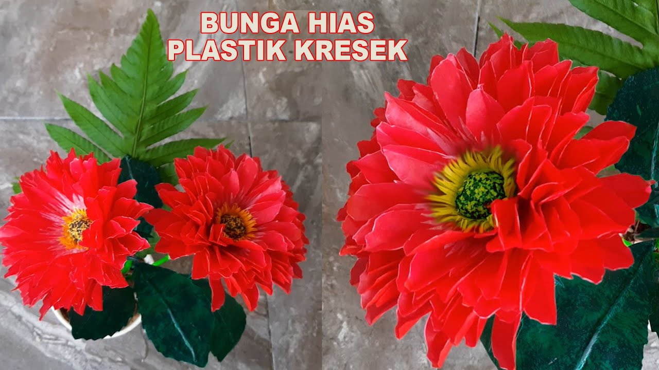 Diy Bunga Dahlia Plastik Kresek - Cara Membuat BUNGA DAHLIA - How to make DAHLIA FLOWER