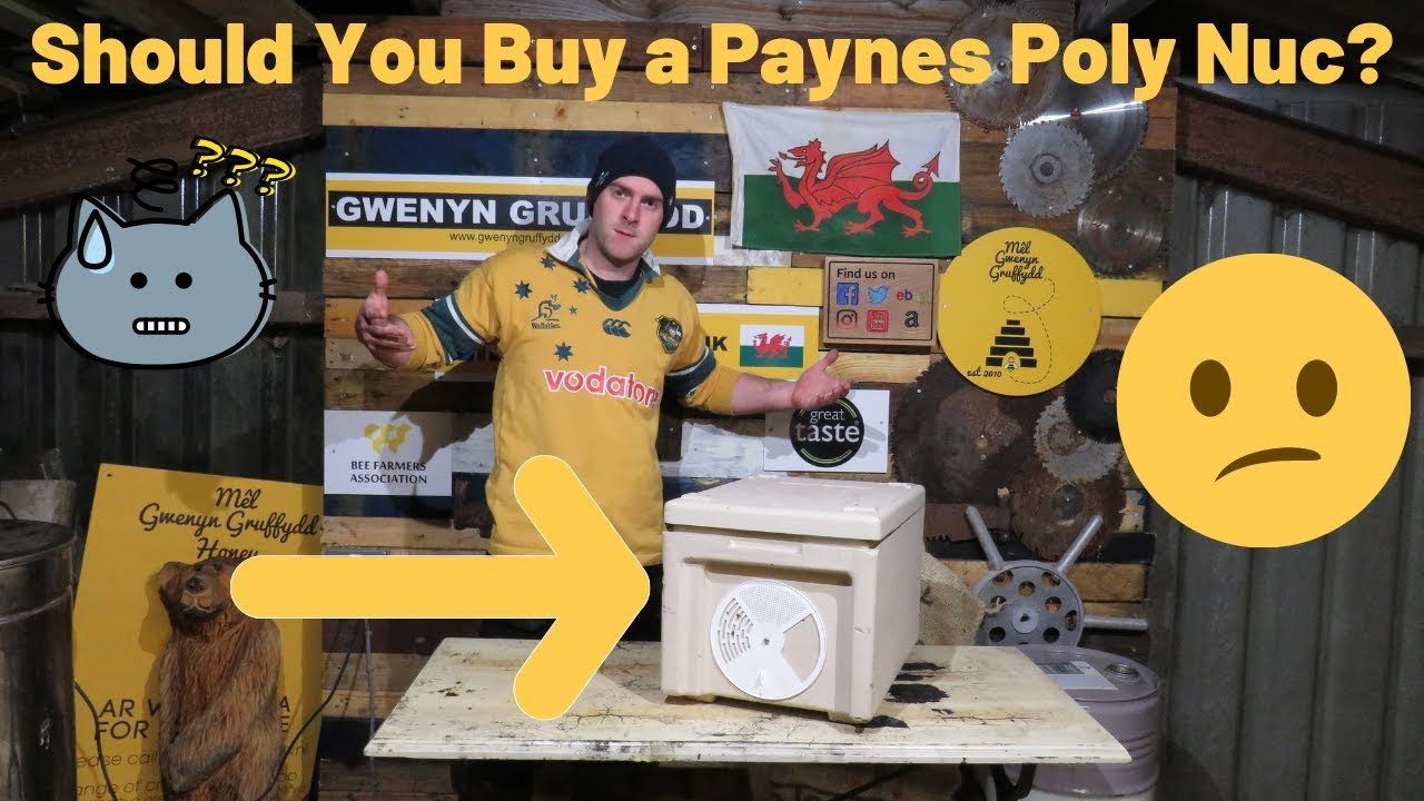 Reviewing Paynes Poly Nucleus! Should you buy one?
