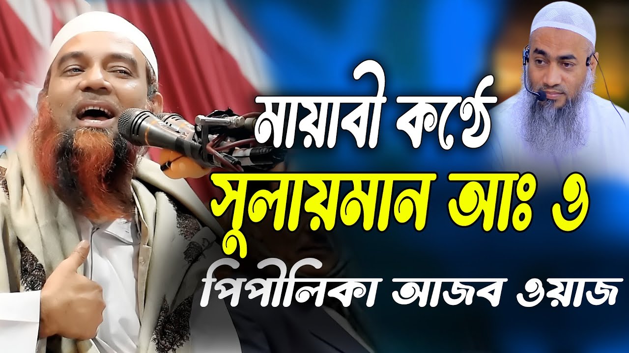 মায়াবী কষ্ঠে সুলাইমান আঃ ও পিপীলিকার আজব ওয়াজ। আব্দুল মান্নান ওসমানী দ্বিতীয় মোস্তাকুন্নবী সাহেব