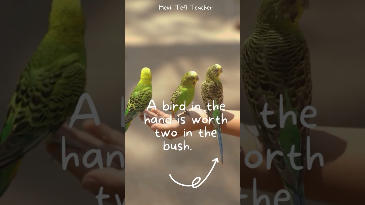 A bird in the hand is better than two in the bush -  English Proverb Explained for ESL Learners