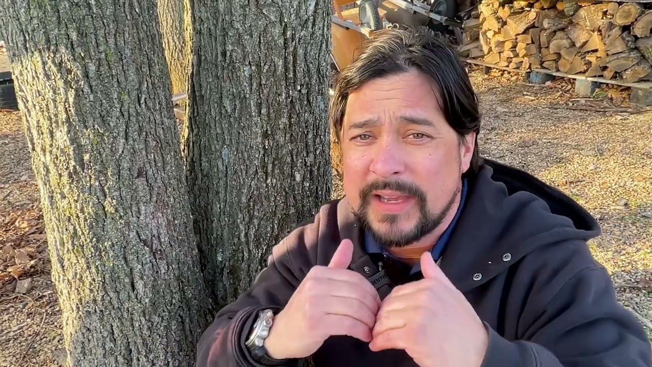 Codominant Stems in Trees and Structural Pruning
