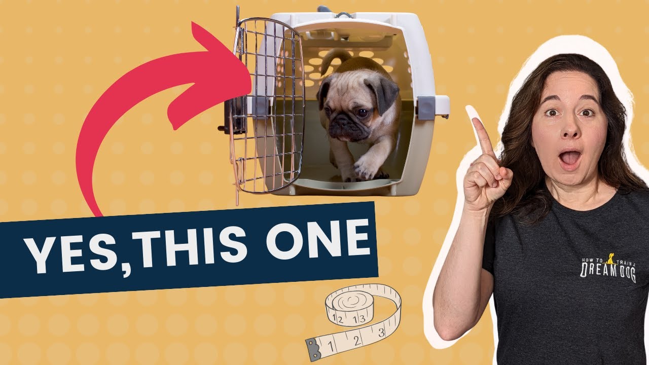 Crate Size for a Puppy Who Grows Fast