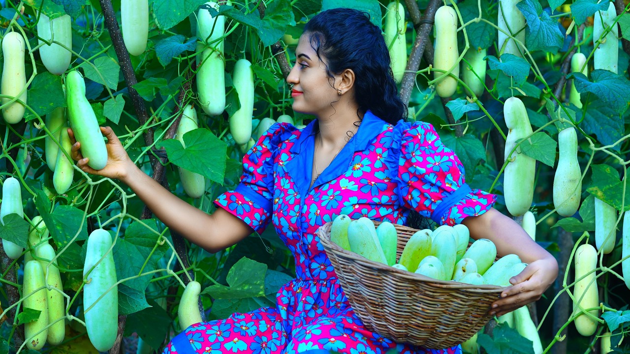 Farm Fresh Cucumbers ! 🥒 Creamy Salad, Cool Drinks & Detox Water For Healthy Skin!