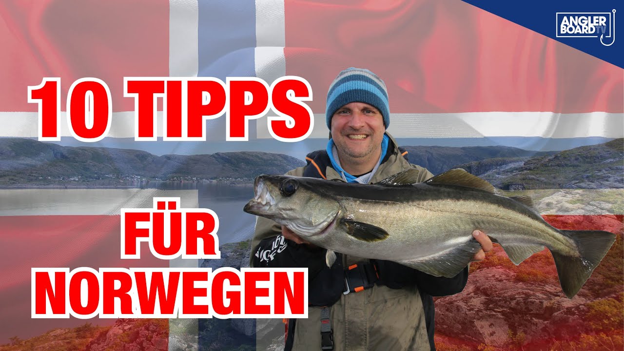 Angeln in Norwegen | Zehn Einsteiger-Tipps | So gelingt der Angelurlaub | Anglerboard TV
