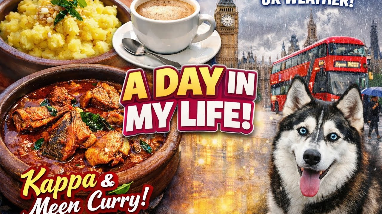 സ്വിച്ച് ഇട്ട പോലെ ആണ് സ്വഭാവം മാറും 🥹 A DAY IN MY LIFE