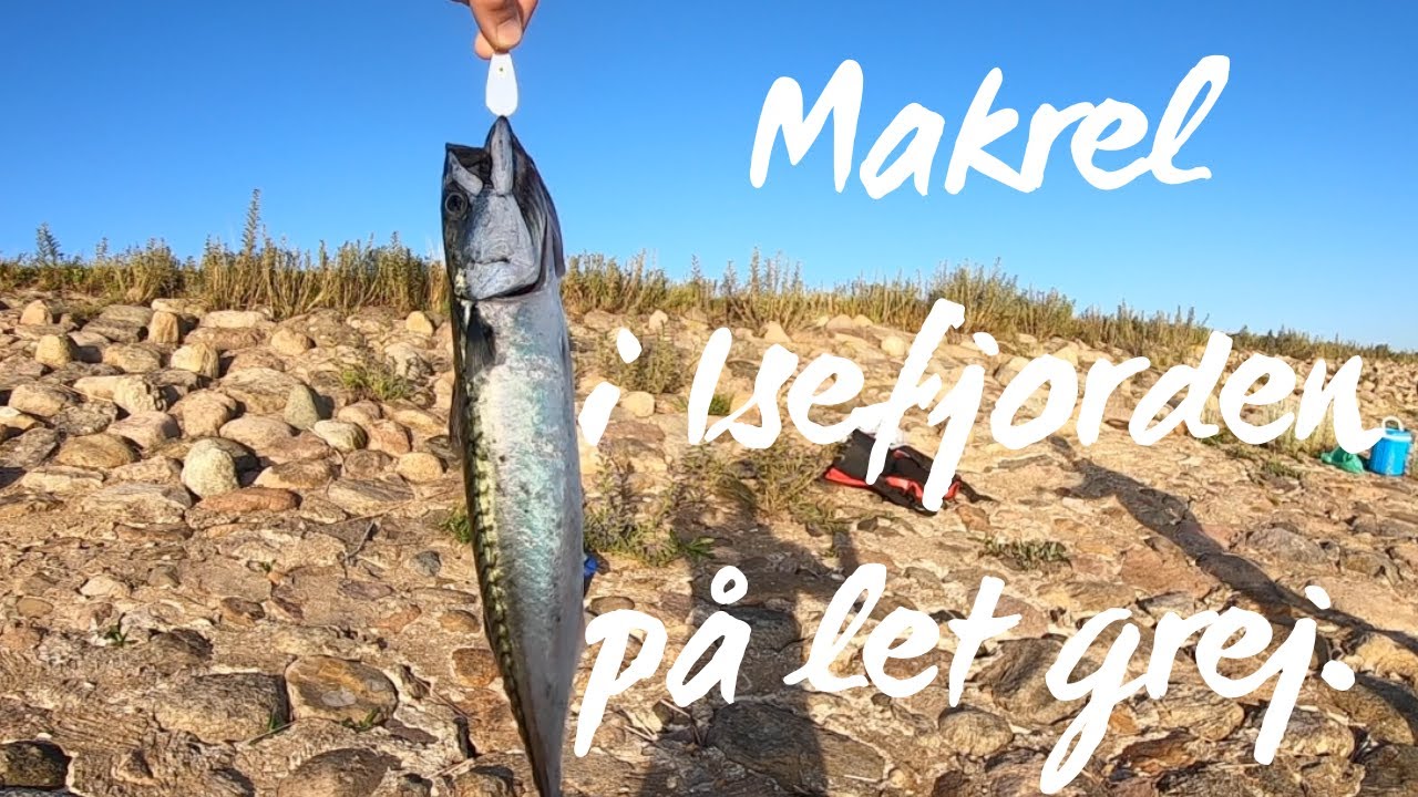 Makrel i Isefjorden på let grej