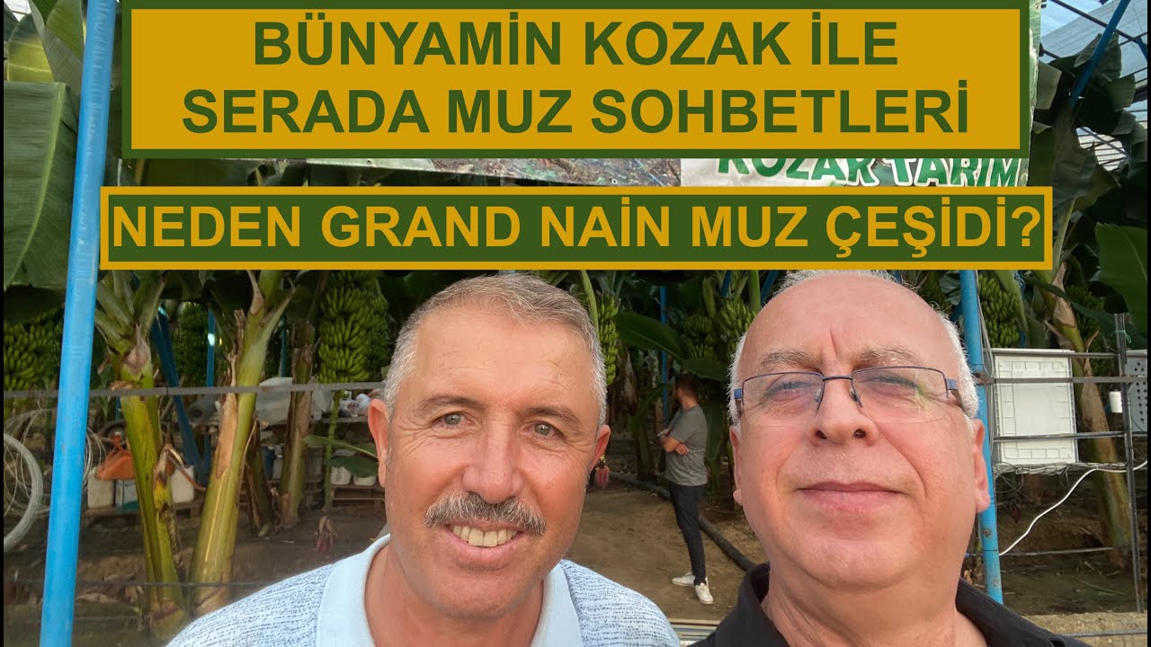 NEDEN GRAND NAİN MUZ ÇEŞİDİ ?