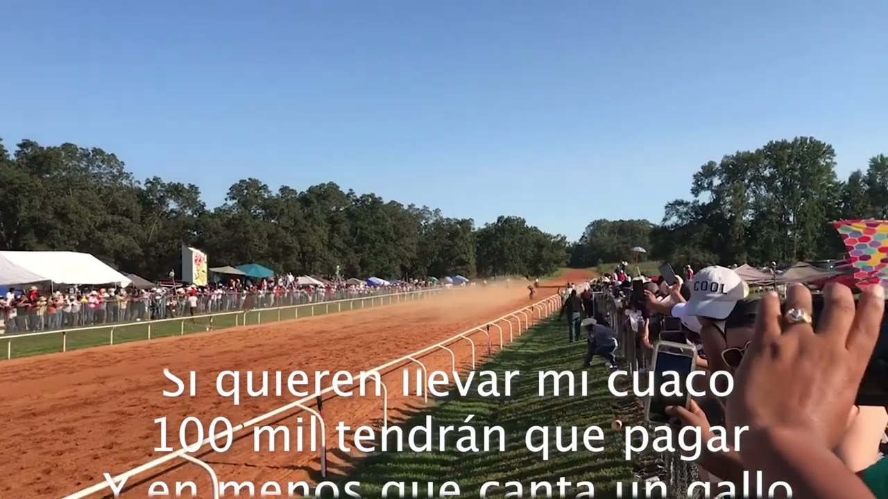Alex Ramirez - El Traficante