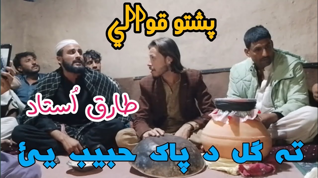 Pashto Best Qawali | TARIQ USTAD