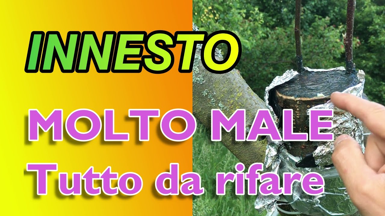 INNESTO FALLITO SU MELO