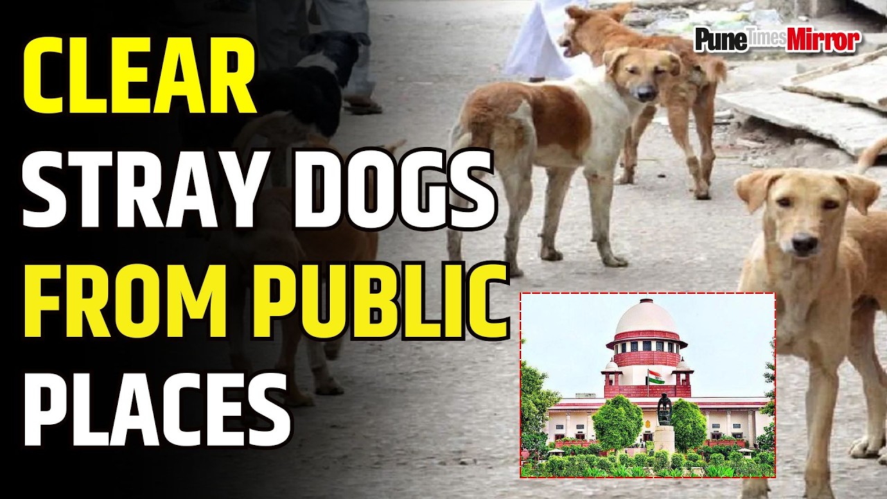 Supreme Court | Stray Dogs from Public Places | Pune Mirror