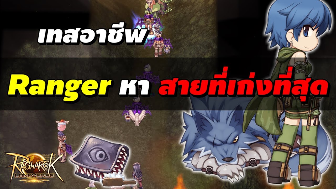 เทสอาชีพ Ranger หา สายที่เก่งที่สุด (หมา, AS, FA) | Ragnarok Landverse Rideword (ROL Rideword)