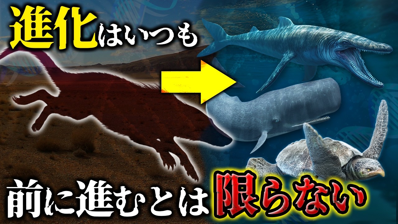 【ゆっくり解説】進化の逆戻り！？陸から海に帰ったヤツらの進化