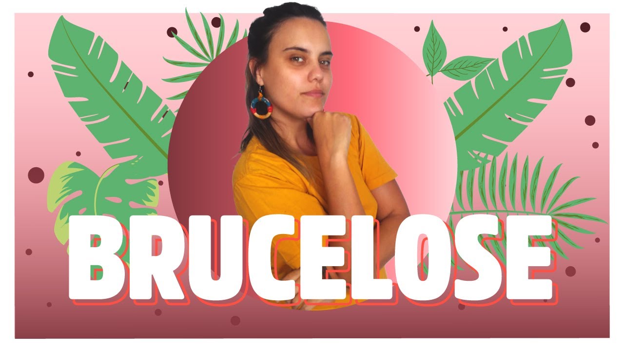 Revis&atilde;o VetCon | BRUCELOSE
