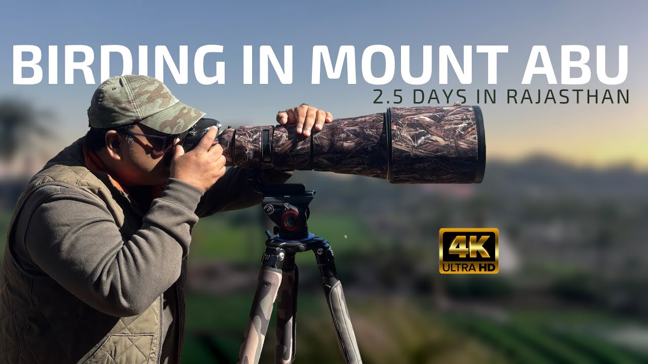 BIRDING IN MOUNT ABU | 2.5 DAYS IN RAJASTHAN | Bird Photography Vlog