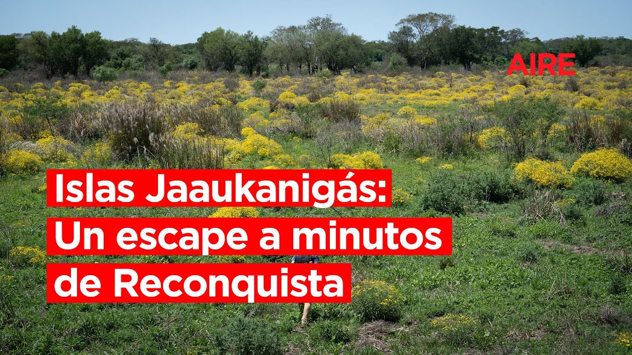 🐒🌴 Islas Jaaukanigas: Un escape a minutos de Reconquista 🌴🐒