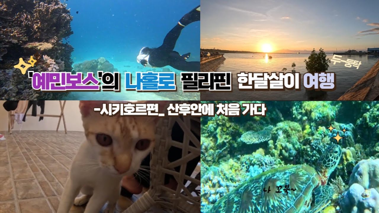'예민보스'의 나홀로 필리핀 한달살이 여행_시키호르편|오션젯 |산후안 |투보드 해양보호구역 프리다이빙&스노클링|Fig Sunset View리조트|Isla De Paz Resort