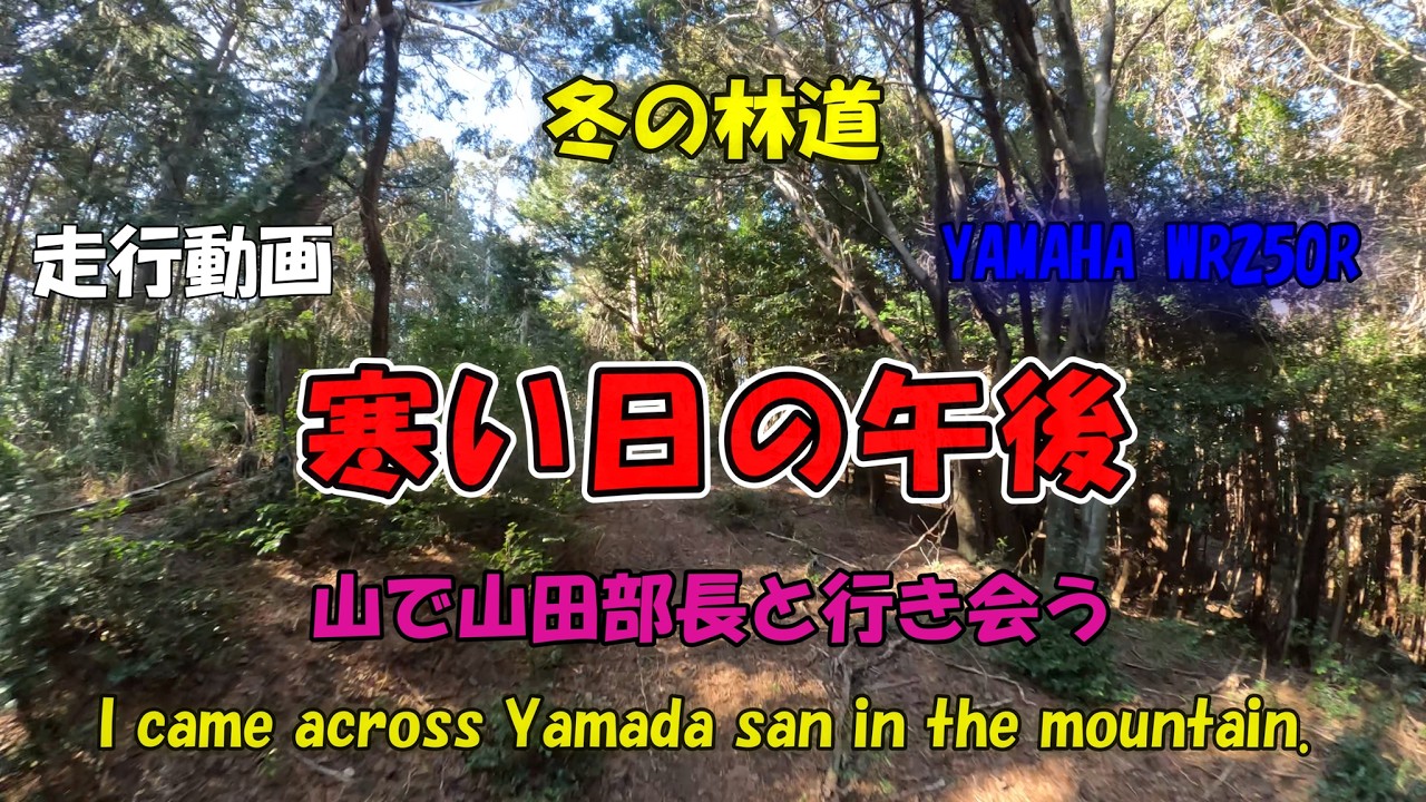 寒い日の午後 [ YAMAHA WR250R ]