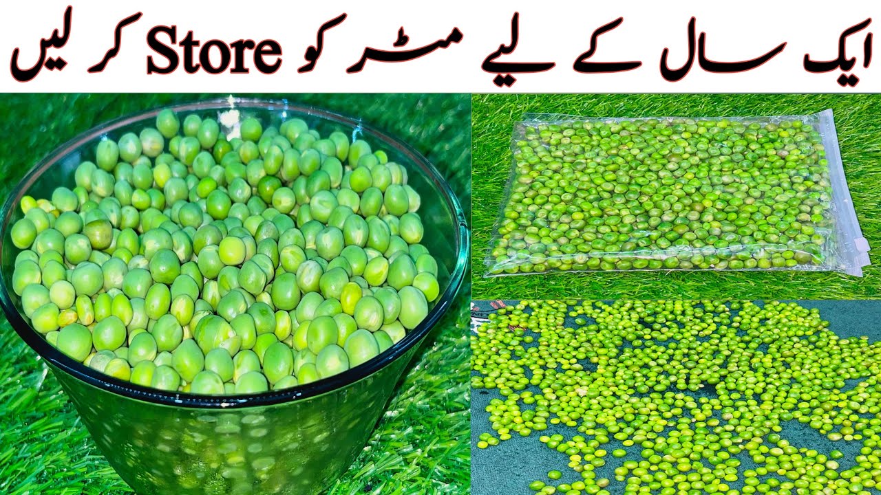 مٹر کو ایک سال تک سٹور کرنے کا سب سے آسان اور درست طریقہ | Matar Store Karne ka Tarika