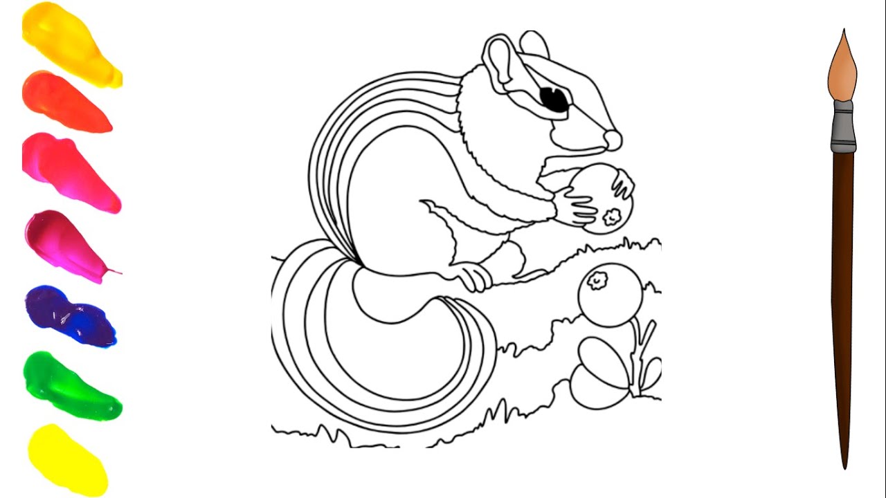 HOW TO COLOR A SQUIRREL