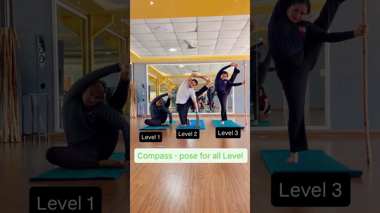 Compass pose for all Level 