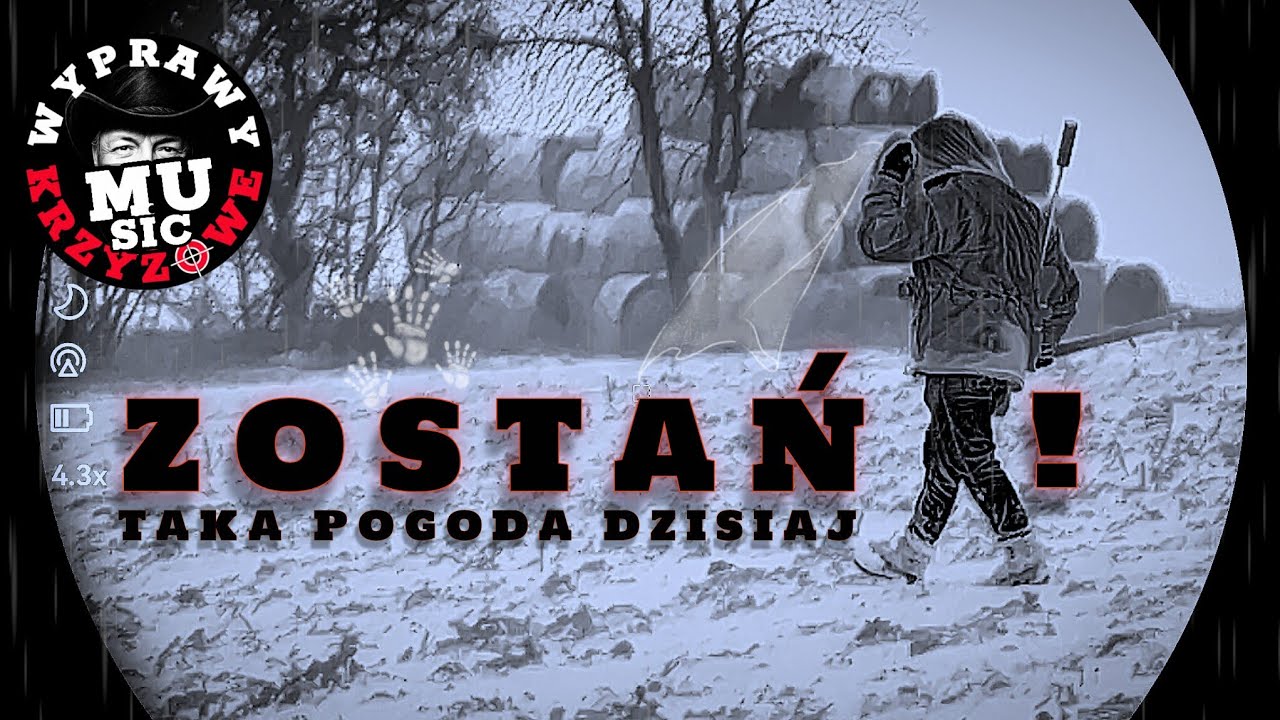 ZOSTAŃ - myśliwski dopalacz muzyczny #WyprawyKrzyżowe