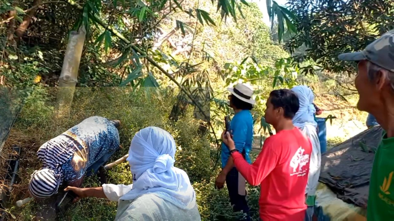 Mga Ahas Kinatatakutan sa La Union | JTG Kamandag