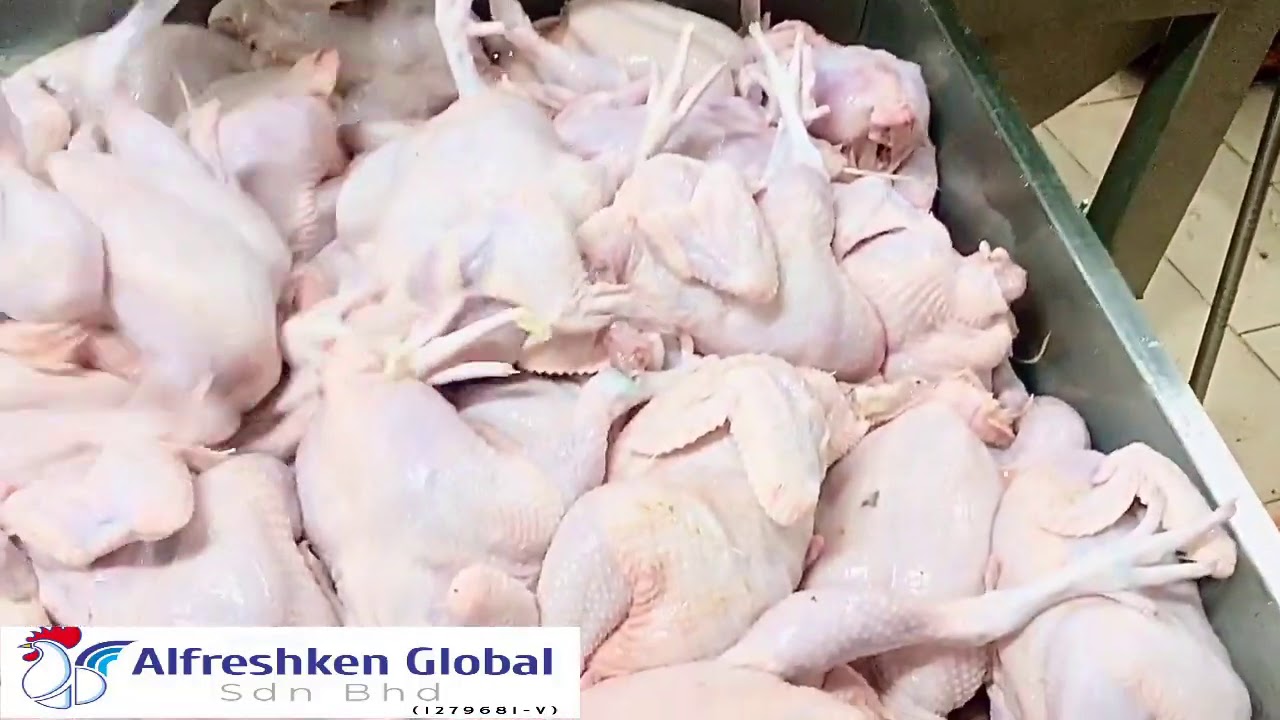KILANG PROSES AYAM SEGAR SELANGOR