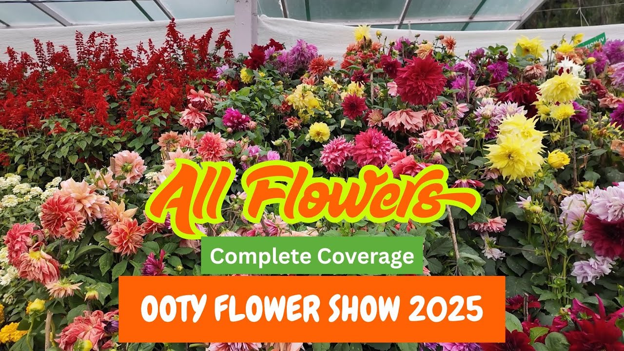 Ooty Flower Show 2025,  Flowers Display  -  Complete Coverage  -