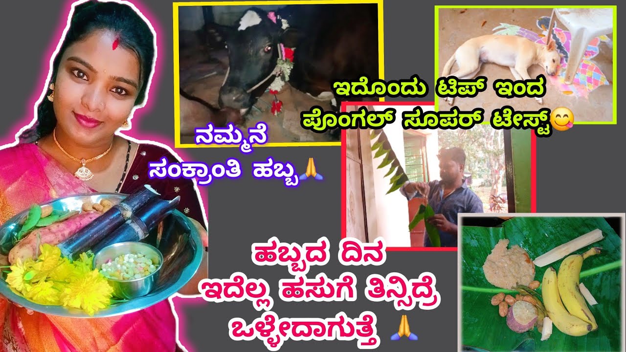 511vlog...ಸಂಕ್ರಾಂತಿ ಹಬ್ಬಕ್ಕೆ ನನ್ನ ಮೇಕ್ಅಪ್😍/ಟಾಮು ನನ್ ಹೊಟ್ಟೆ ಉರುಸ್ತಾವ್ನೆ🐶/ಪೊಂಗಲ್, ಇದಿಕಿದ ಬೆಳೆಸಾರು😋 