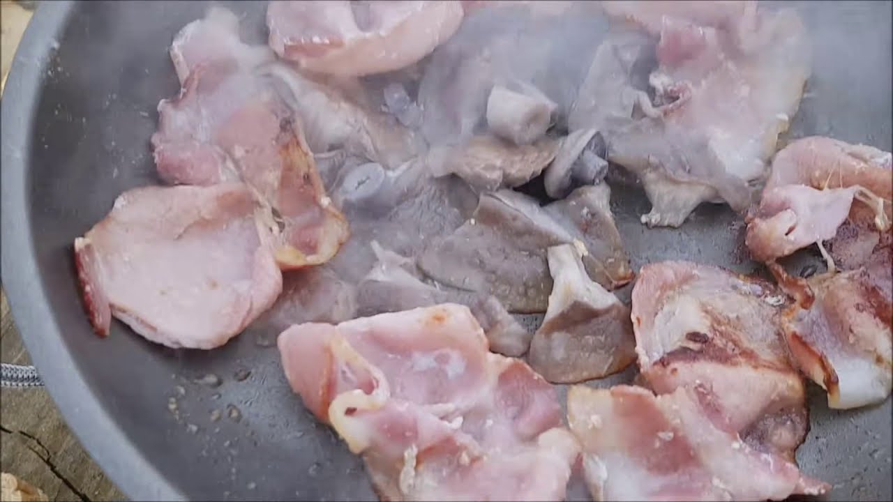 Blewits & Bacon in the wood 💜 #blewit #foraging #mushroomhunting