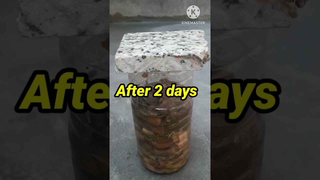 Make easy and free Organic liquid fertilizer from kitchen wastes #shorts