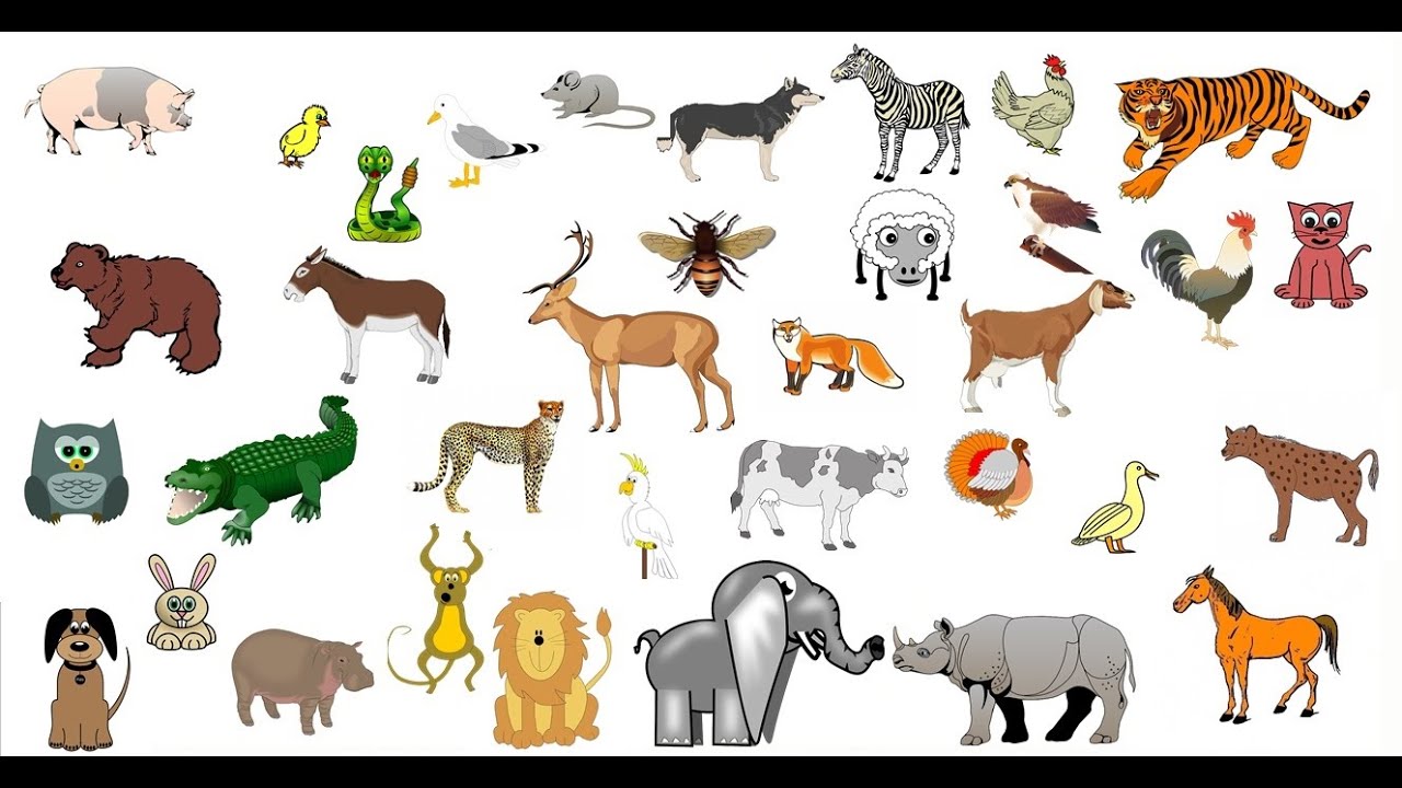 Los sonidos de los animales para niños de 1 a 5 años (ANIMADOS)