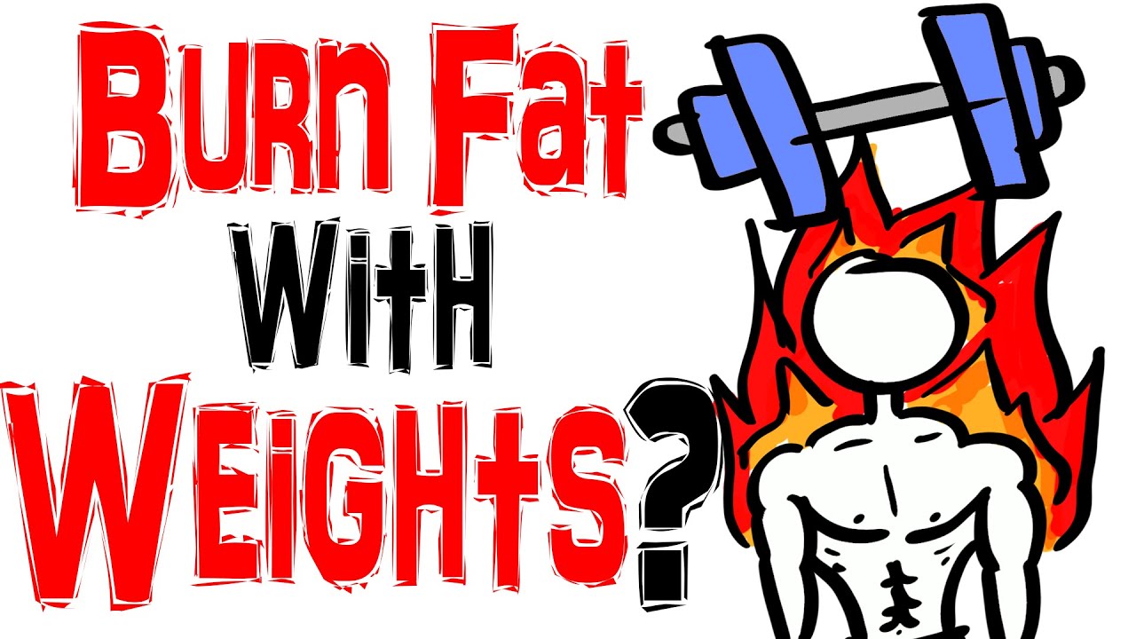 Weight Training VS Low Intensity Cardio  - Best Way to Burn Fat?
