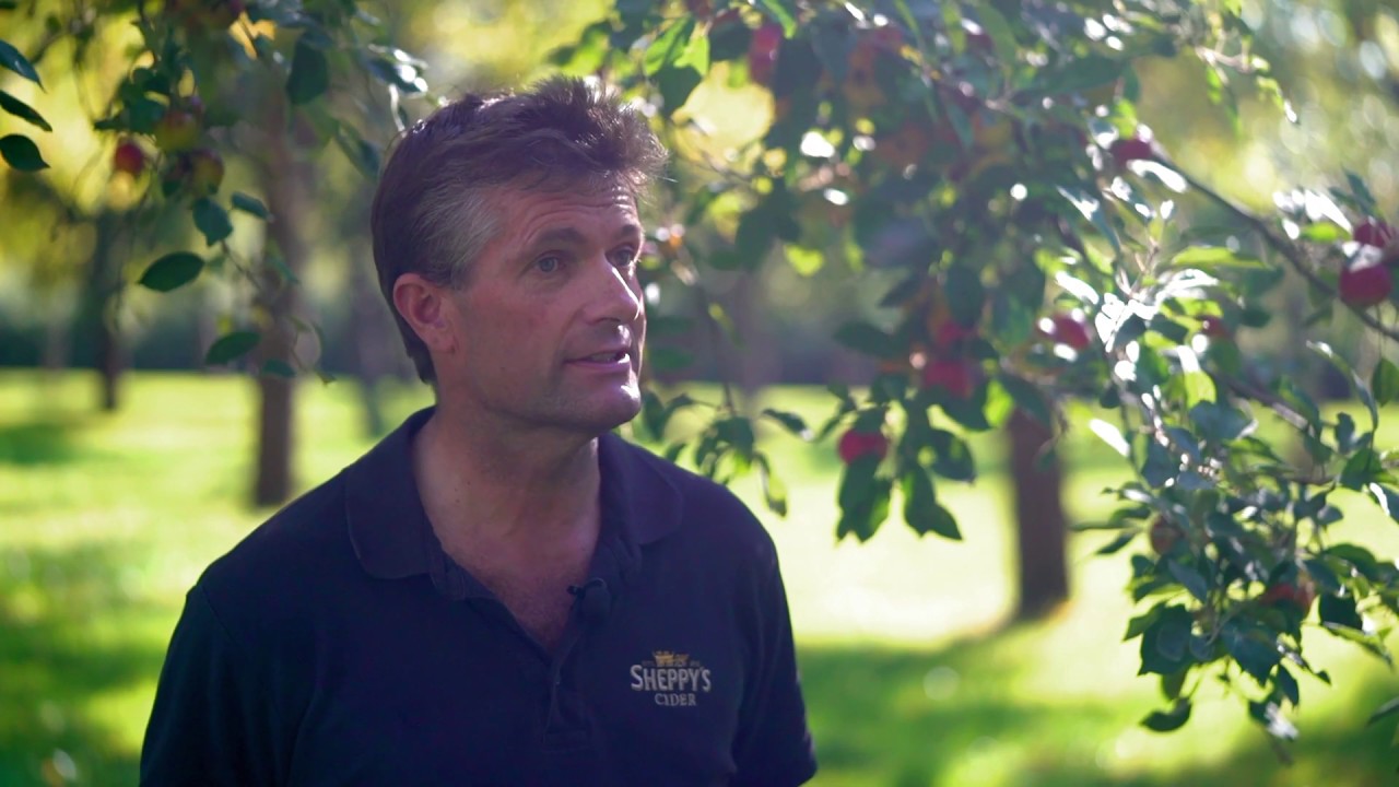 Celebrating the Great British Apple Harvest (2018) with Sheppy's Cider