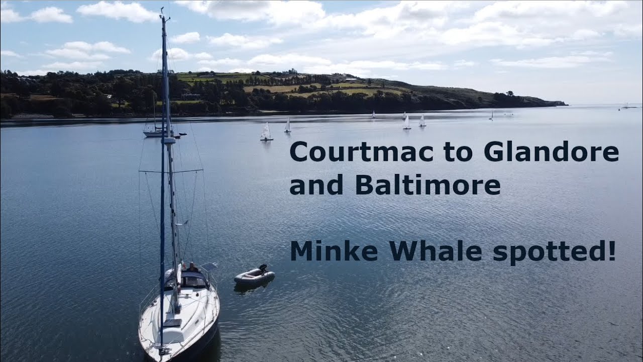 Courtmac to Glandore to Baltimore - Solo Sailing Ireland-Whales and Dolphins, alternator overheating