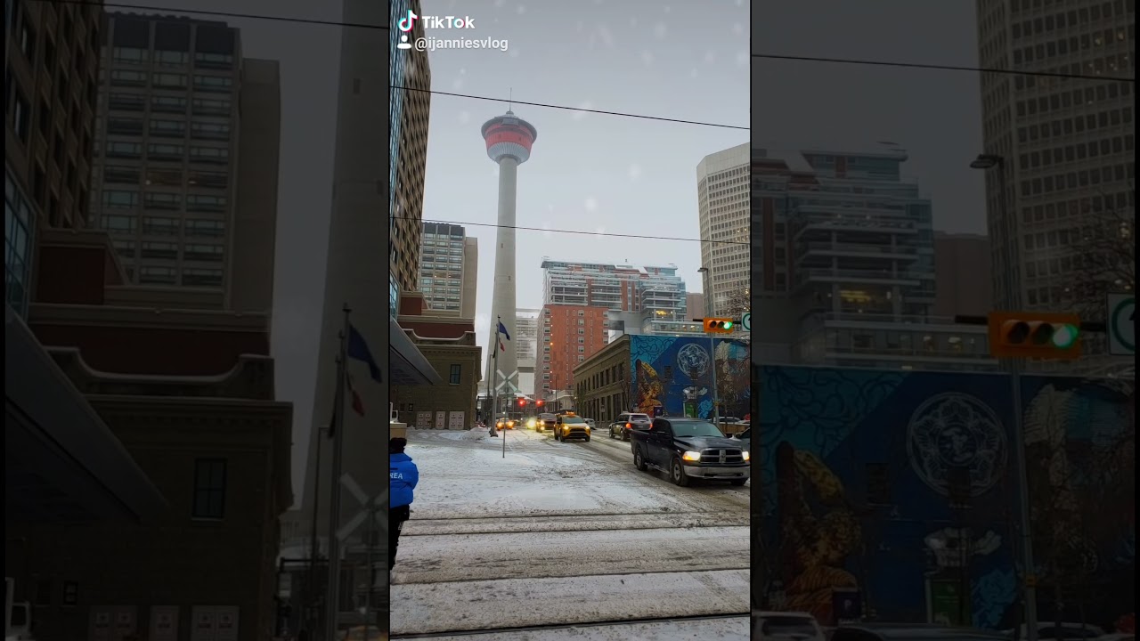 Snowfall in Calgary Alberta Canada 🇨🇦 #shorts #Calgary #canada
